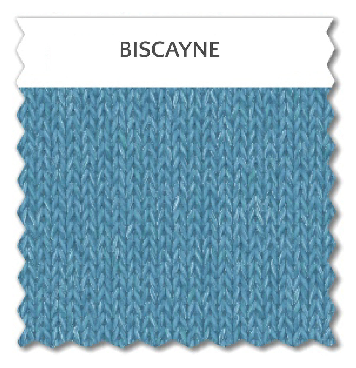 BISCAYNE 352543b2-0717-450b-9a21-19957285fd52