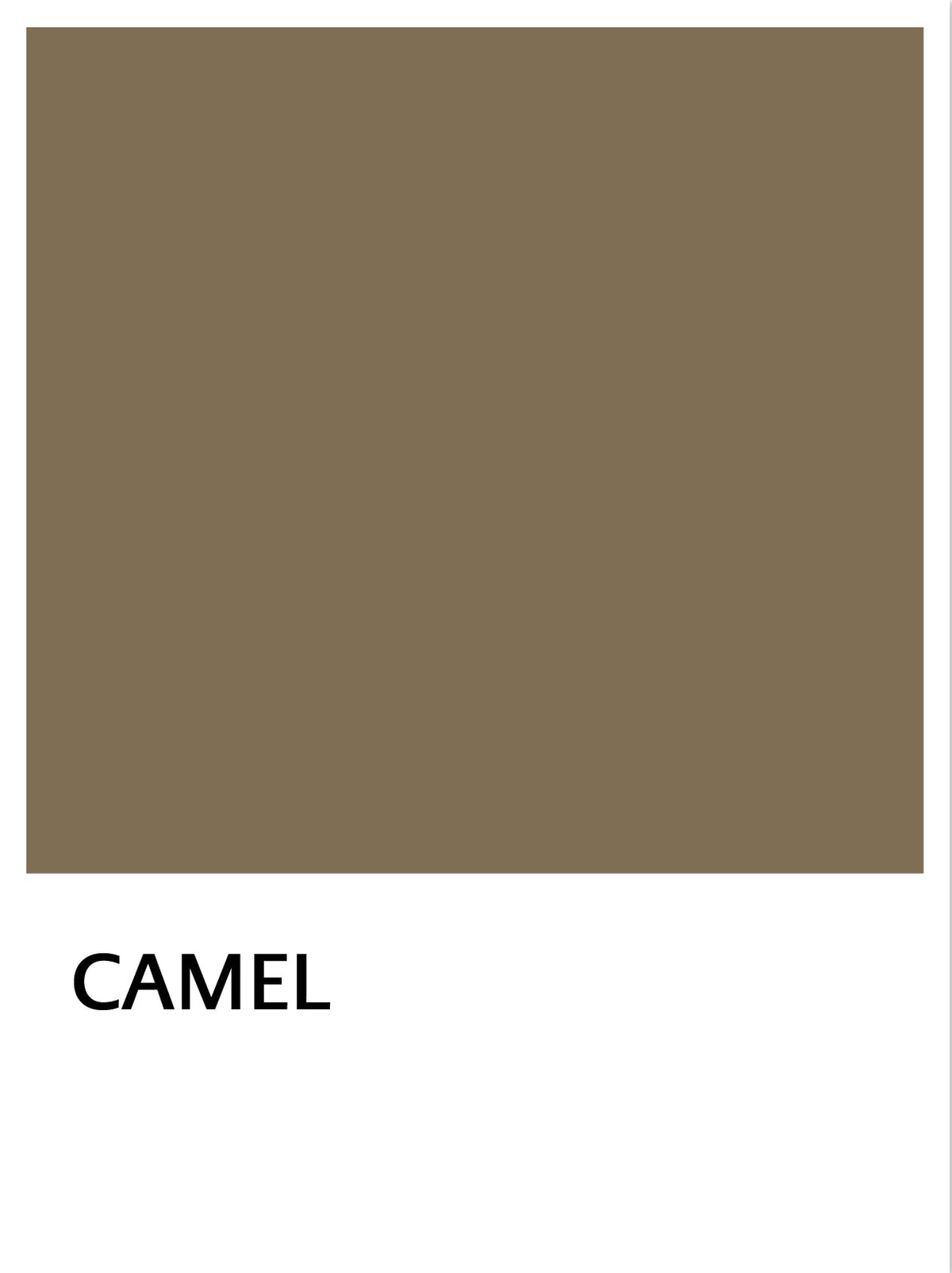 CAMEL 31fc53ed-3180-4333-a997-e8ac7ff8d1f2