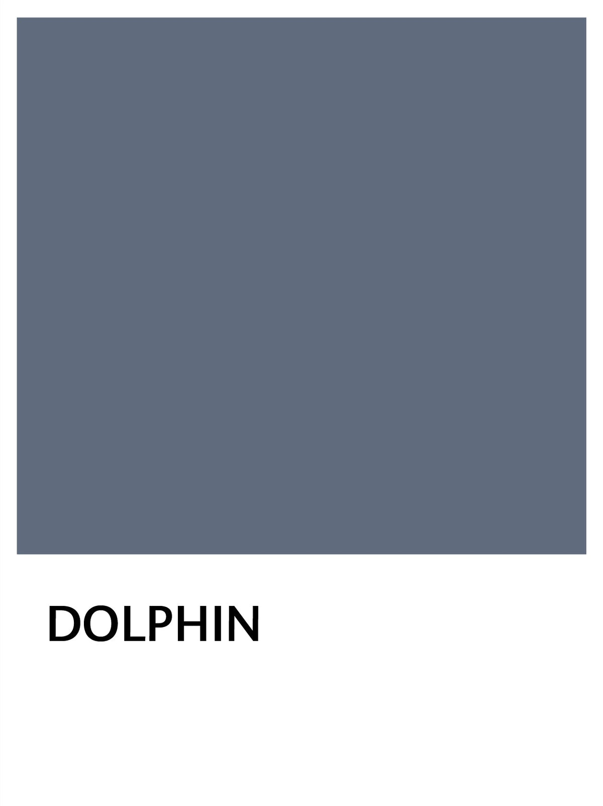DOLPHIN d75694cc-771e-4b0b-80a3-5612efbcd3e5