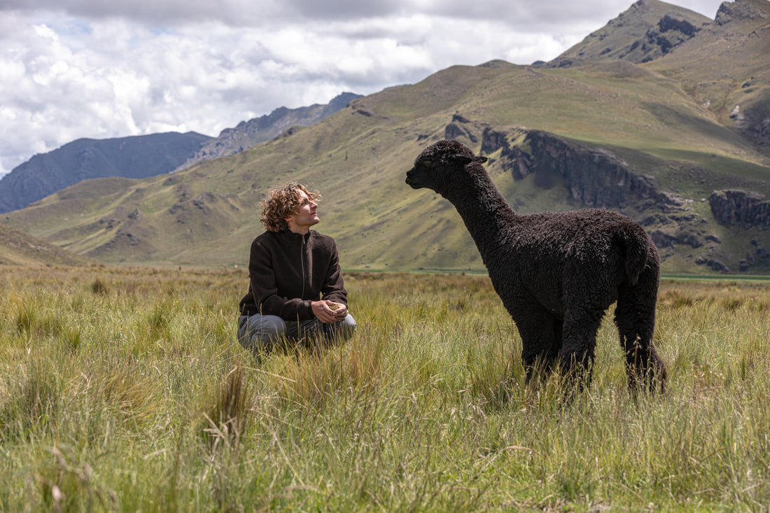 Person sitting in a grassy highland field looking at a black alpaca, with rolling green mountains and cloudy skies in the background