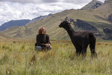 Person sitting in a grassy highland field looking at a black alpaca, with rolling green mountains and cloudy skies in the background