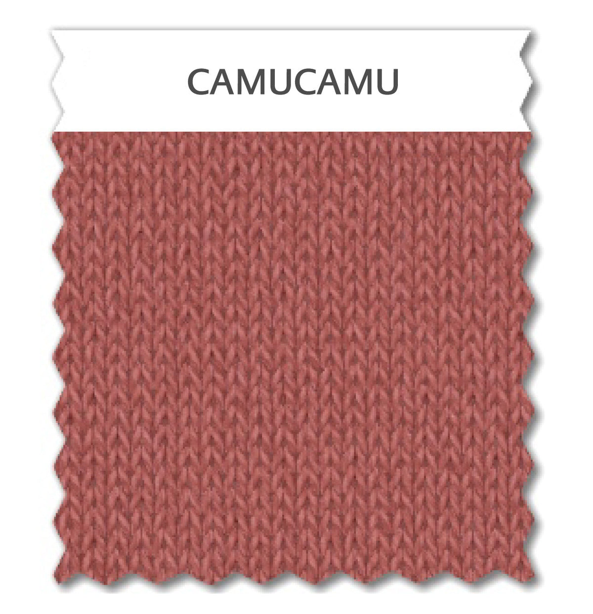 CAMUCAMU 70f0737a-cd8a-463b-ba47-ea77ce998941