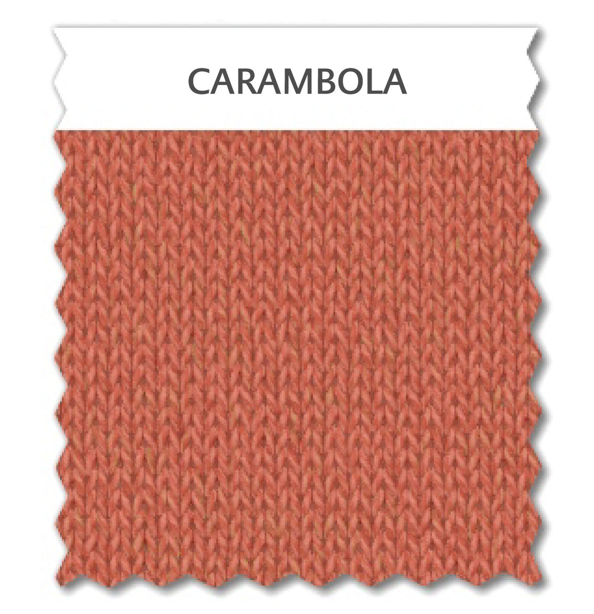 CARAMBOLA c939d207-922c-46db-aa88-4b6f300a7994