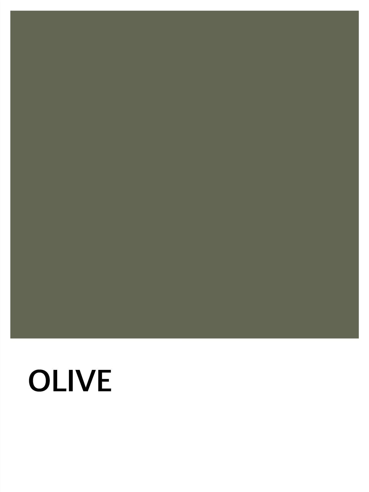 OLIVE 716e04d3-eed7-49ca-a471-2312384ca900