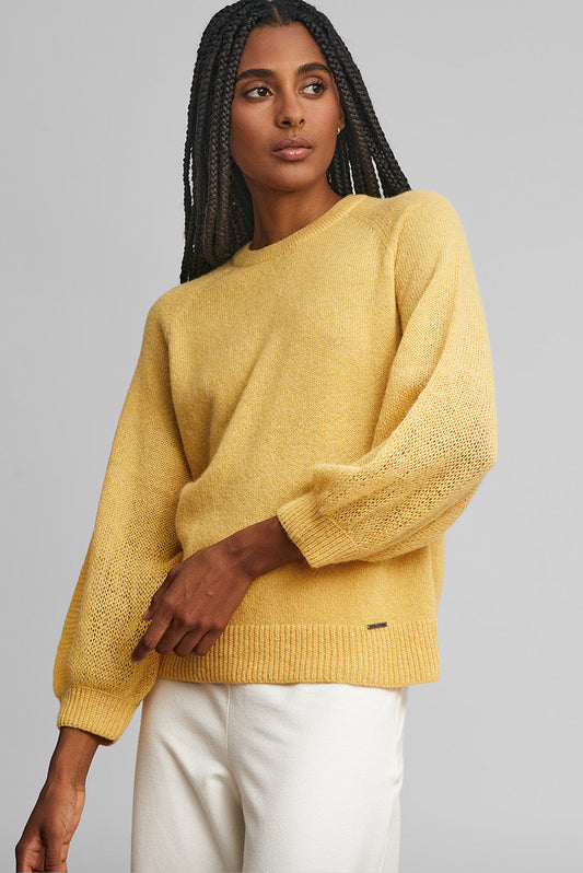Wake Sweater Baby Alpaca Color Amarelo
